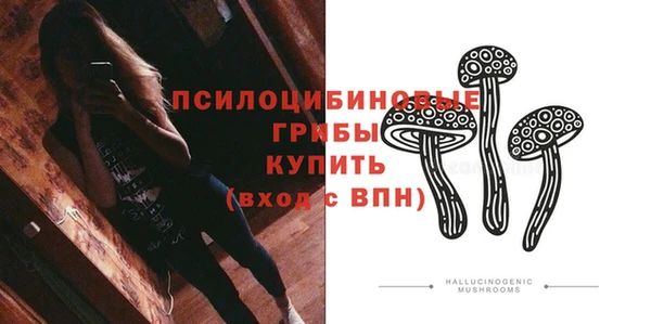 apvp Абаза