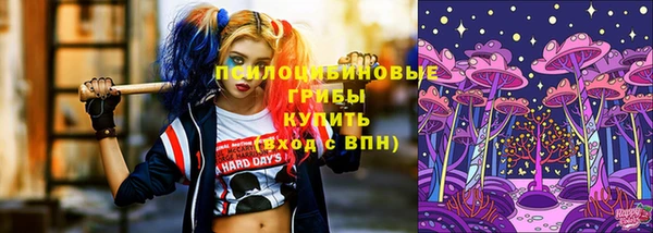 spice Абинск