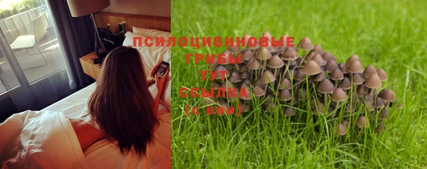 apvp Абаза