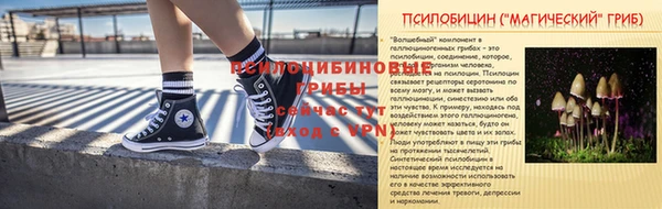 spice Абинск