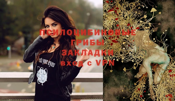 apvp Абаза