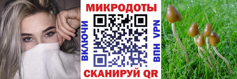 Галлюциногенные грибы мицелий  Нальчик 