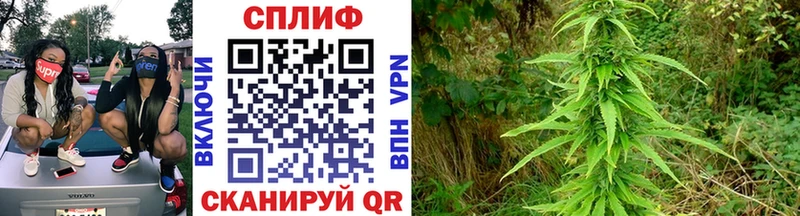 Шишки марихуана OG Kush  blacksprut ONION  Нальчик 